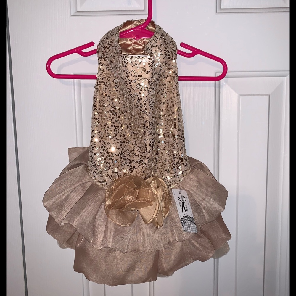 Buffy Design sequined dog formal